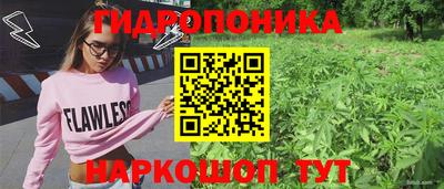 гашик Пушкино