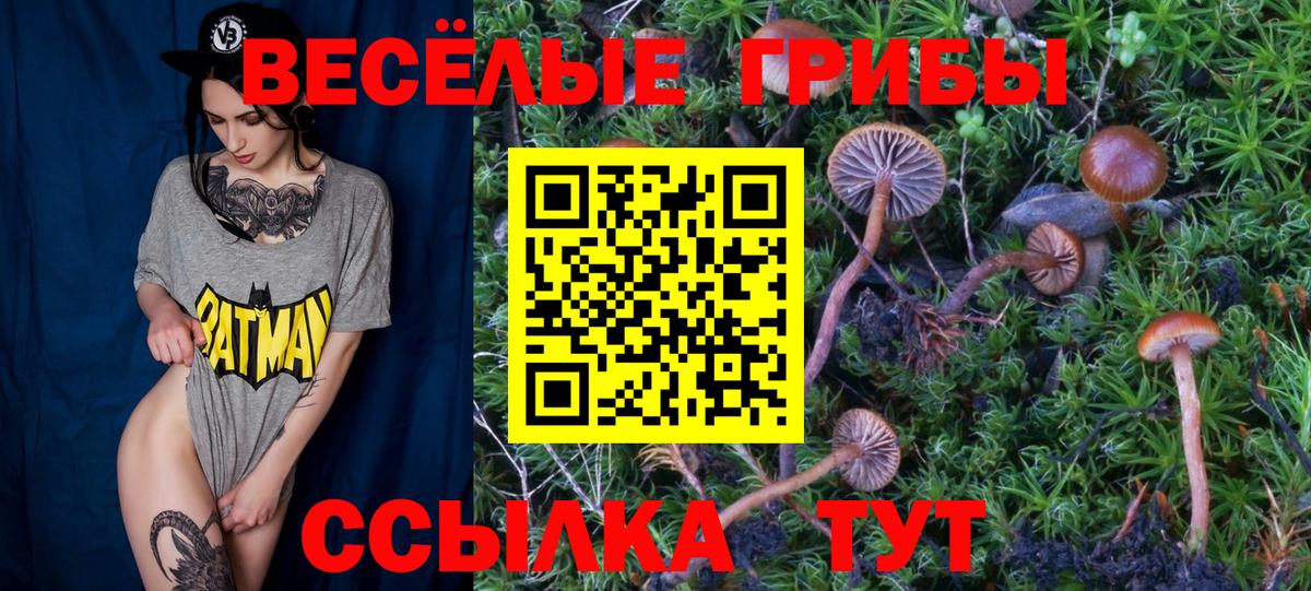 Псилоцибиновые грибы Psilocybe Среднеуральск