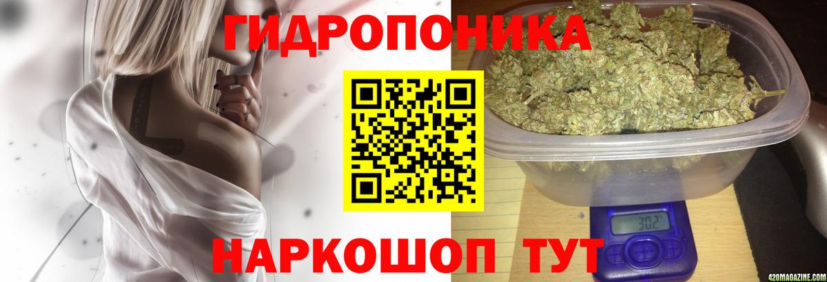 Шишки марихуана гибрид Среднеуральск
